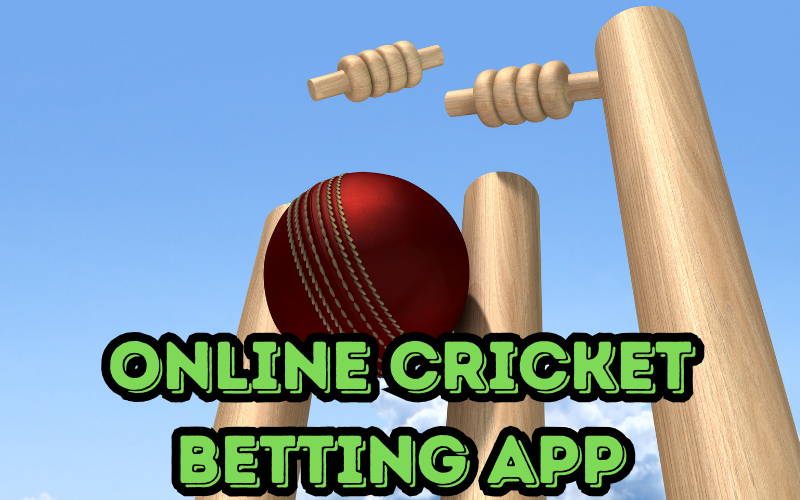 online cricket betting app