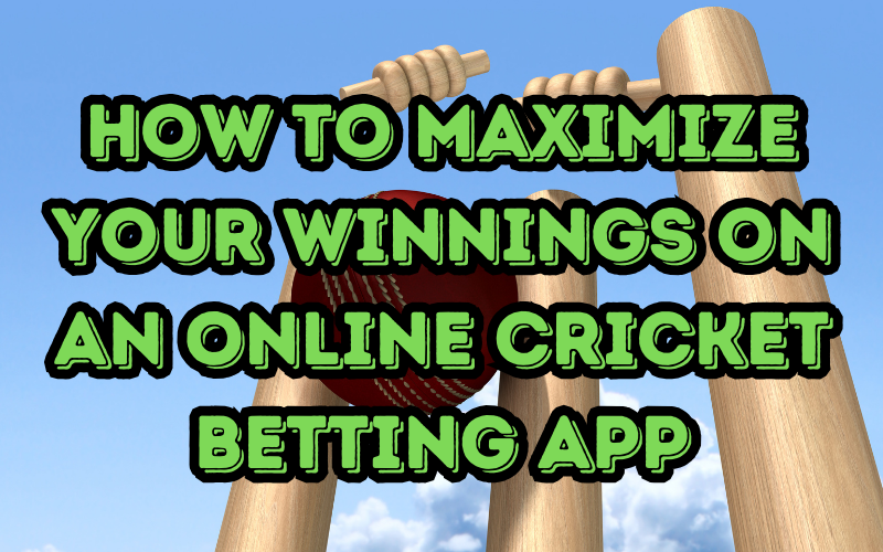 online cricket betting app